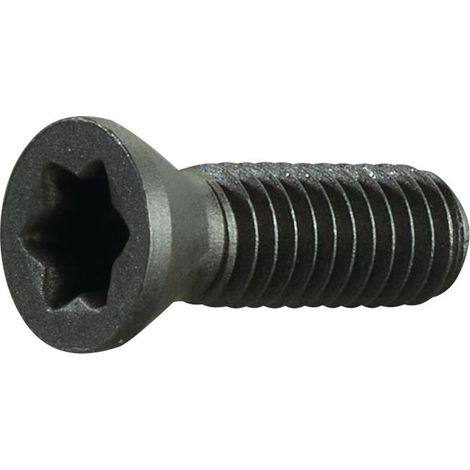 Vis de serrage M35 longueur de filetage 10 mm adapté à porte-plaq. à serrage SE (Par 2)