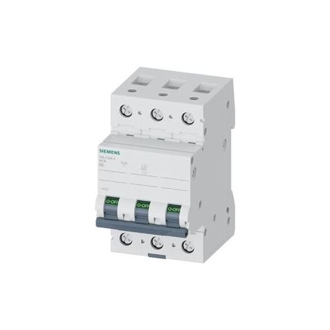 Interruptor Siemens 5sl4306-6 3 polos 6 A 10 kA