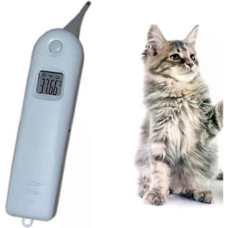 Thermomètre vétérinaire - Grand écran, mesure électronique rapide - (1/4)
