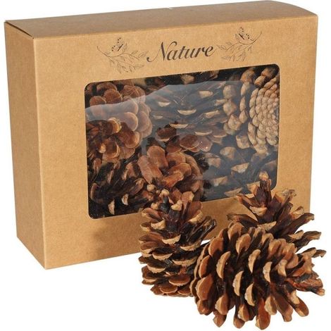 Box of 9 Natural Dried Autumn Pine Cones Set
