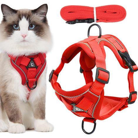 Harnais pour chat anti-fugue, réglable, réfléchissant, respirant et doux Laisse robuste pour chatons