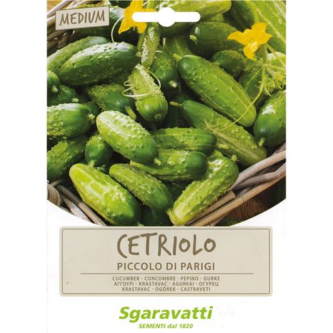 SEMI PER ORTAGGI E VEGETALI cetriolo piccolo verde di Parigi Q.TA 20 cetriolo piccolo verde di Parigi