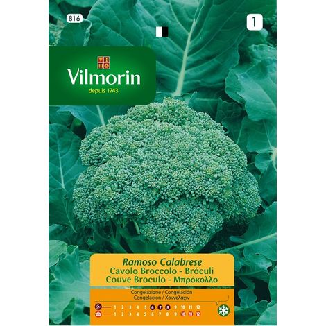 Vilmorin Broculi Ramoso Calabre S-1 816, 9 Gr