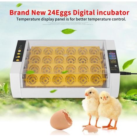 24 petits incubateurs automatiques de retournement d'oeufs EU prise 220-240V -AIM (1/4)
