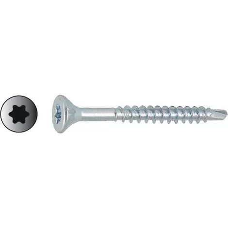 Vis autoperceuse en acier zingué blanc à tête fraisée Torx - VISWOOD - 5 - 60