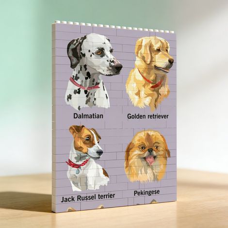 Cadre en briques de construction, cadeau pour anniversaire (1/5)