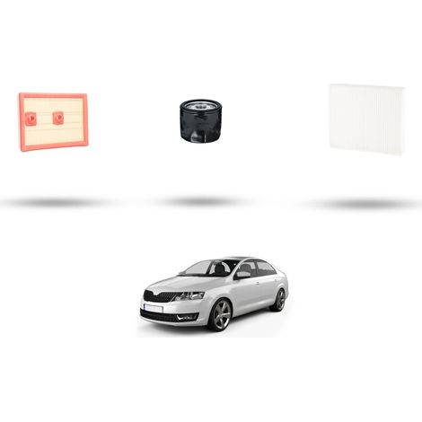 Kit tagliando 3 filtri compatibile con Skdoa Rapid (NH3,NH1) 1.4 TSI 92kw dal 2015 (1/5)
