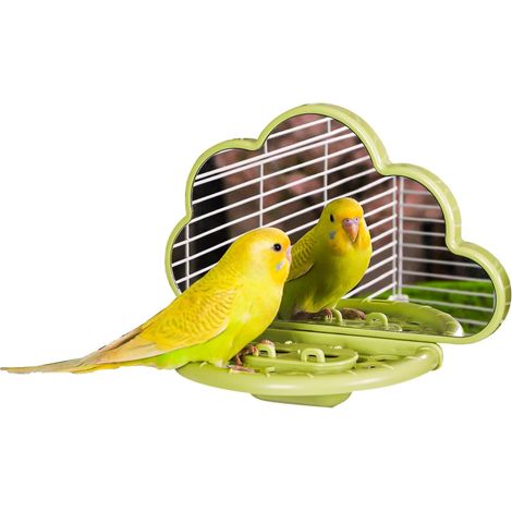 Miroir à Oiseaux avec perchoir, Jouets pour Oiseaux pour perruches, calopsittes, Conures, inséparables, pinsons, canaris (Vert)