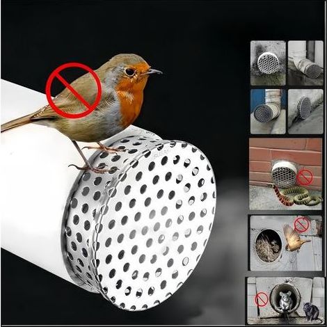 Protections de gouttière Filtre en acier inoxydable 10 cm Protections de gouttière pour éviter le blocage des feuilles Empêche les serpents, les souris et les oiseaux d'entrer dans la maison (1/5)