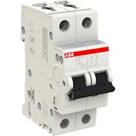 Disjoncteur S202M 2P 6A Courbe B Raccordement à vis - 15KA (2 modules) - 2CDS272001R0065