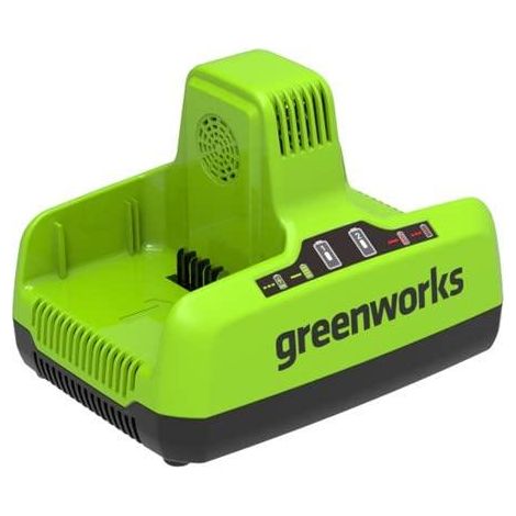 Greenworks G60x2UC6 Cargador rápido 60 V doble batería
