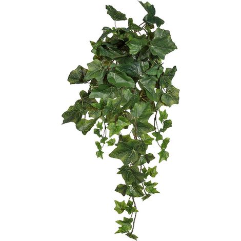 Gasper – Lierre anglais artificiel en tige de 78 feuilles – Vert, longueur 45 cm (1/2)