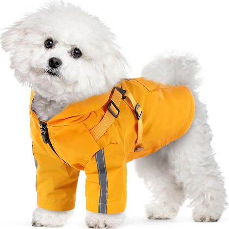 1 Imperméable chien, capuche ajustable, bandes réfléchissantes, tissu déperlant, harnais intégré, petite moyenne taille (1/5)