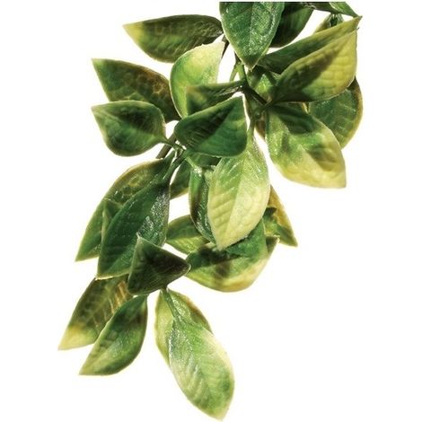 Exo Terra Plant PL emesso Mandarino S.