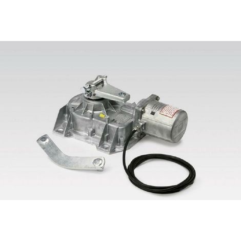 CAME FROG 001FROG-AE FROG-AE Motoriduttore Motore Per Cancelli a Battente 230v Interrato (1/7)