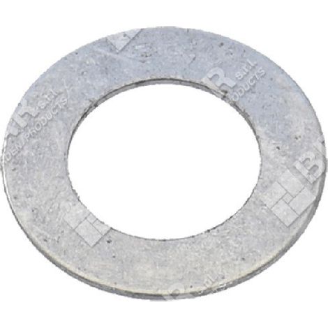 O-ring  biella tosasiepi brill COMPATIBILE - 004040