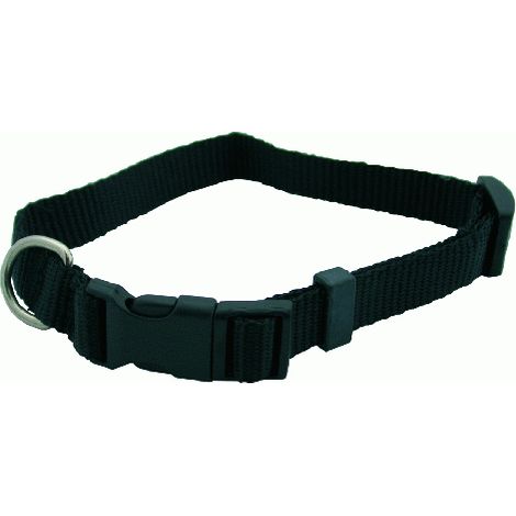 collare per cane in nyolon con chiusura a scatto largh mm 15 lung cm 33 a cm 40
