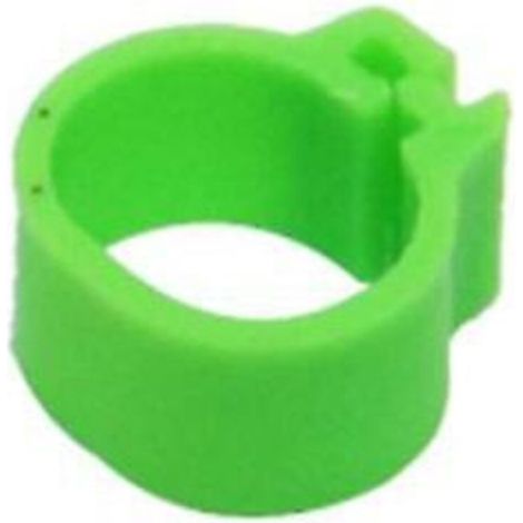 200pcs Diamètre intérieur 8mm Anneaux Clip Oiseaux Pigeon Coloured Foot Ring 10 Couleurs-Ensoleillé