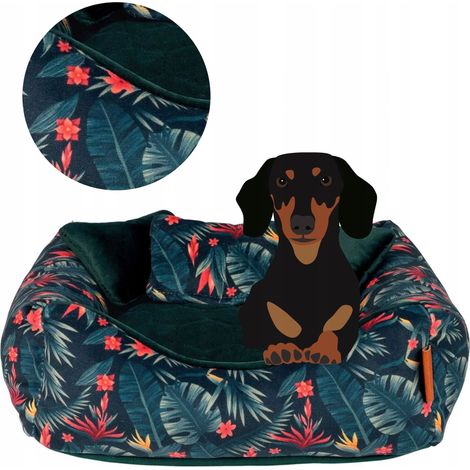 DIVANO con cuscini per cane di piccola taglia o cucciolo 45x45x12 cm Ukory VERDE (1/5)