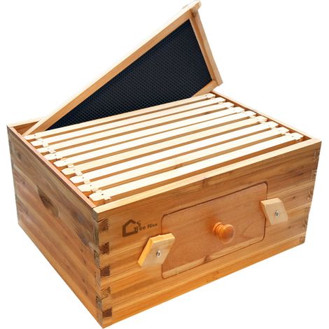 Ruche Langstroth 10 cadres professionnelle – Kit complet avec 10 cadres en bois de cèdre massif – Fenêtre d'observation et imprégnation cire d'abeille – Hydromotrix
