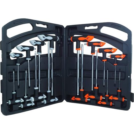 SET 16 PEZZI CHIAVI A T CHROME VANADIUM ESAGONALI E TORX IMPUGNATURA (1/2)