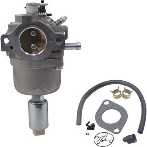 Carburateur pour Moteurs Briggs & Stratton 287707 287776 287777 310707 310777 698620 690194 791886 799727 496796 499153 695412 792768 Remplacement du carburateur (1/5)