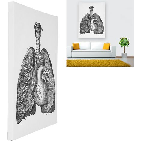 Wanddekoration mit Darstellung eines menschlichen Organs, dekoratives Hängebild für Krankenhäuser, dekoratives Hängebild im Retro-Stil, Stil A (1/5)