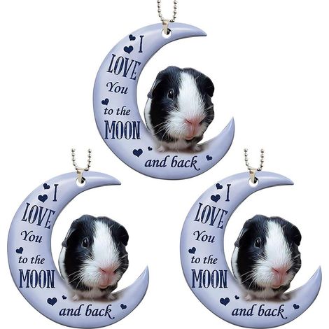 Lot de 3 grenouilles sur lune décoration auto, pendentif acrylique suspendu sapin Noël, décoration festive cadeau (1/5)