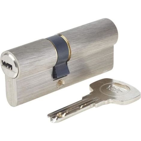 Cylindre de Serrure - YALE - YC1000+ - Débrayable - 30x40 mm - 6 Goupilles - 4 Clés réversibles - Nickelé (1/5)