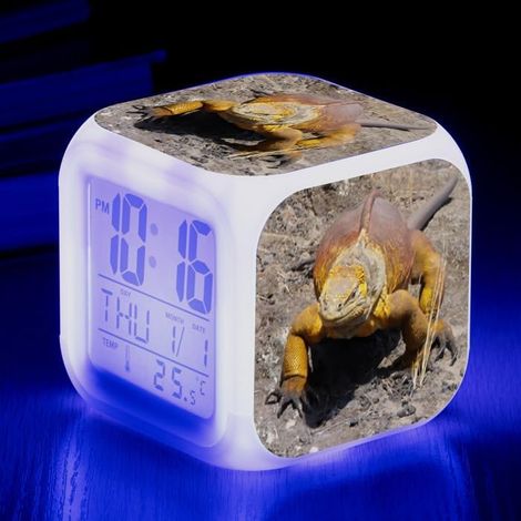 Réveil Photo personnalisé Animé avec Lumière Snooze Alarme,LED (1/5)
