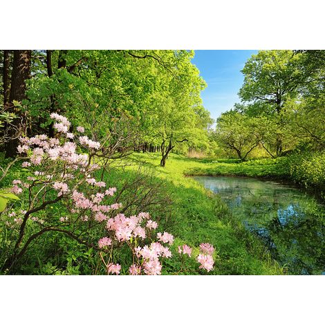 Papier peint panoramique paysage lac & forêt | Tapisserie panoramique nature romantique pour salon | Papier peint panoramique chambre avec fleur & arbre - 366 x 254 cm (8 pièces) (1/2)