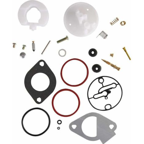 S-giant Kit de réparation de carburateur compatible avec Briggs & Stratton 796184  698787  699900  792369  790032. (1/5)
