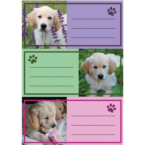 Adesivi scolastici - Cani, 9 pezzi