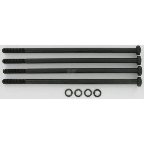 Conj. de pernos Pol.20 M10x265 CASAPPA PLP920M10265