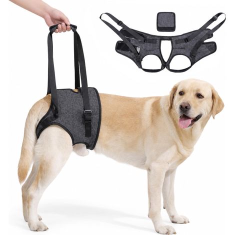 Harnais réglable pour pattes arrière, harnais de soutien pour les pattes arrière pour chiens de petite, moyenne et grande taille, aide au transport pour chiens âgés, handicapés et problèmes de (1/5)