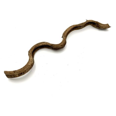 BioThai Liana 1-2cm / 25cm (1/5)