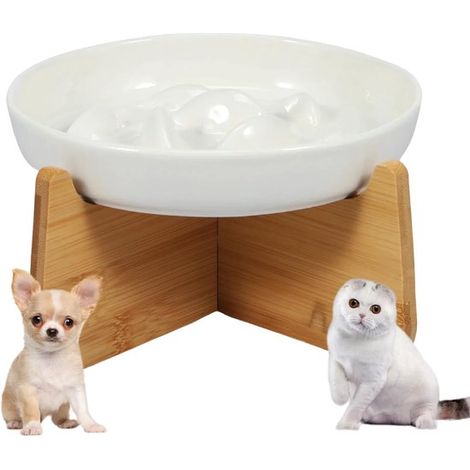Comedero anti-reacción lenta para gatos，Cuenco de cerámica elevado para comida de gatos，Base antideslizante，Laberinto interactivo，Blanco (1/5)