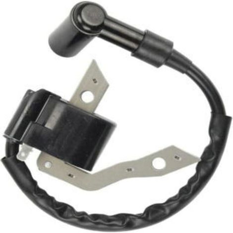 Bobine d'allumage haute tension compatible avec EX30, EX27, 279-79430-01 (1/3)