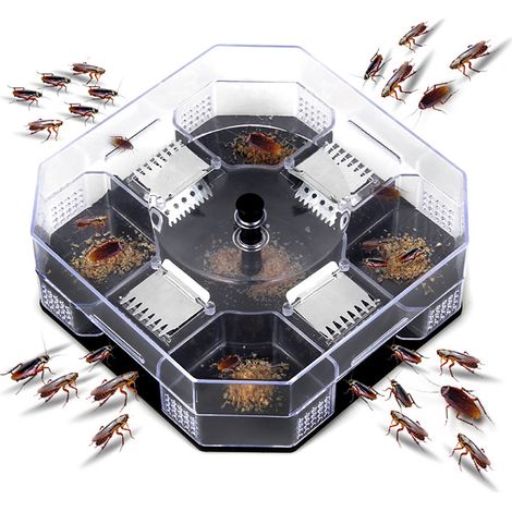 Piège à cafards réutilisable pour maison, boîte attrape-blatte insecte, tueur de cafards efficace pour cuisine (1/5)