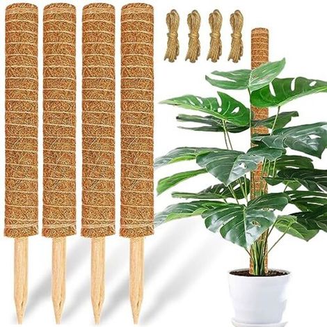 Les supports pour plantes en mousse et les supports pour plantes en fibre de coco, de 43 cm de diamètre et jusqu'à 135 cm de hauteur, conviennent aux plantes grimpantes d'intérieur.