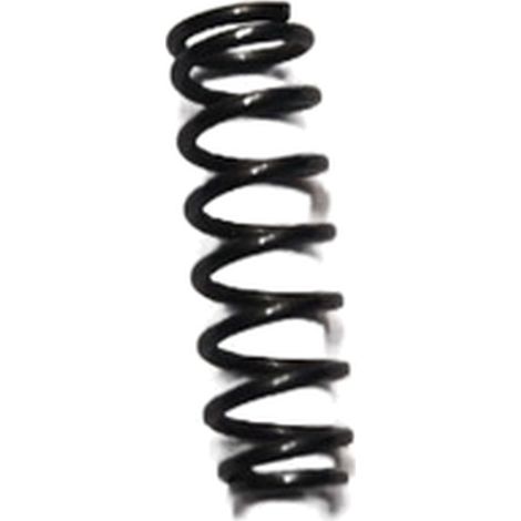 Muelle Perno compatible con Pp 250 Ppx 250  Ref 90003353