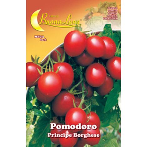 10PZ SEMI ORTO POMODORO CILIEGINO (1/2)