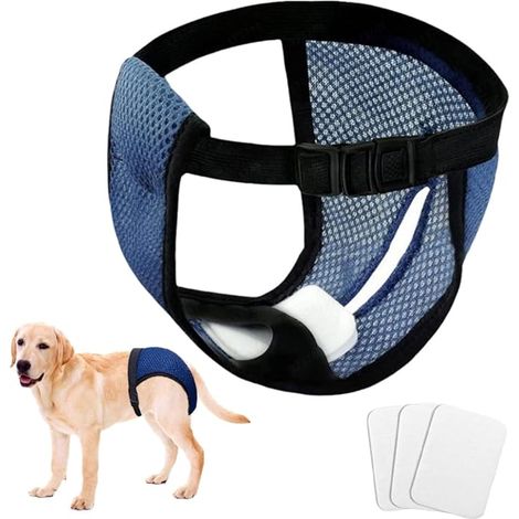 Une couche pour chienne, taille L, short de cyclisme avec 3 protections hygiéniques, convient aux Labradors et aux chiens mâles. (1/5)