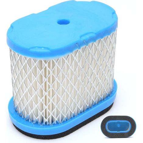 Filtre à air pour Briggs & Stratton 692446 (1/5)