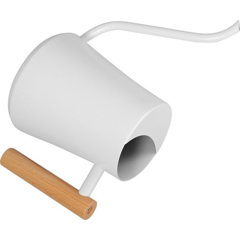 Int rieur Acier Inoxydable avec Long Bec Fin et Manche (1/5)