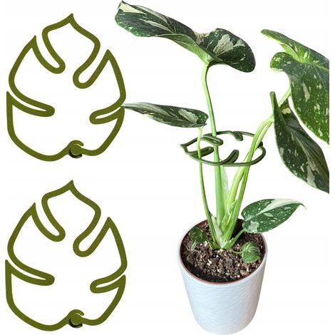 Supporto per piante e fiori, robusto supporto per Monstera con morsetto di fissaggio, misura M 15 cm x2 (1/5)