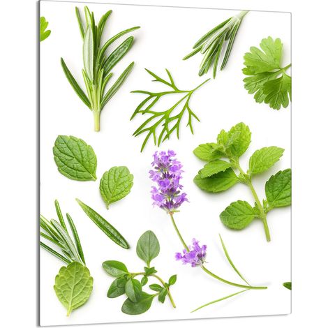 TABLA DE CORTAR DE VIDRIO 40x52 Plantas (1/5)