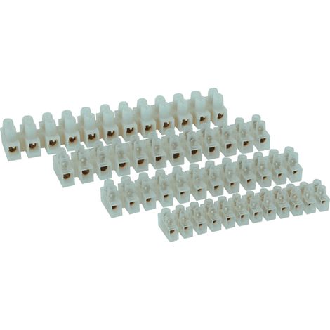 bornier blanc 10mm² 20A 31020