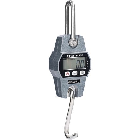 Mini LCD Digital 300kg Portable Industrial Electronic Heavy Duty Weight Hook Crane Fishing Hangings Scale (1/5)