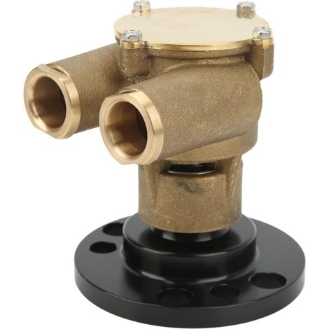 Austausch der Schiffsmotorpumpe – Passend für Marine Power, Indmar, PCM und OMC V8 – Kompakte Bauweise – Teilenummern 3860703, 105 856513, 10 24232 – Lösung (1/5)